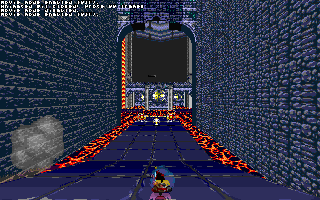 ringracers0023.gif