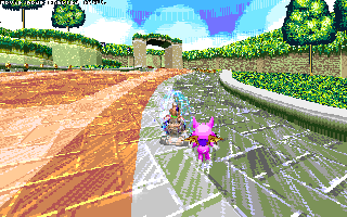 ringracers0026.gif