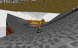 ringracers0031.gif
