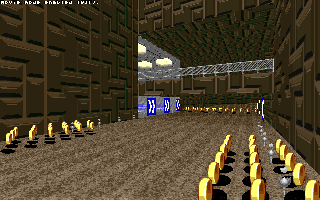 ringracers0032.gif