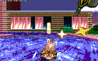 ringracers0038.gif