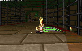 ringracers0039.gif