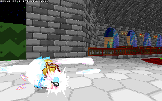 ringracers0053.gif