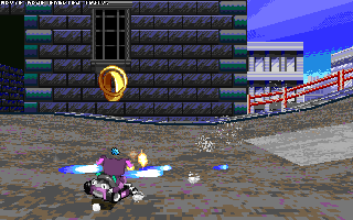ringracers0060.gif