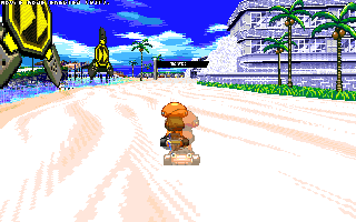 ringracers0172.gif