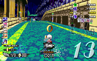ringracers0176.gif