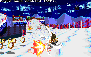 ringracers0177.gif