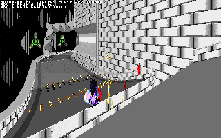 ringracers0226.gif