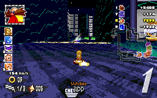 ringracers0240.gif