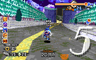 ringracers0268.gif