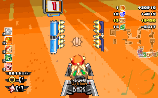 ringracers0452.gif