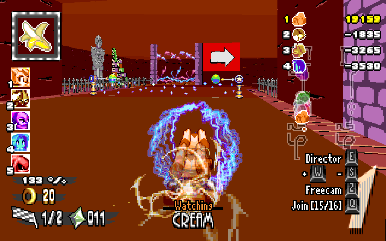 ringracers2465.png