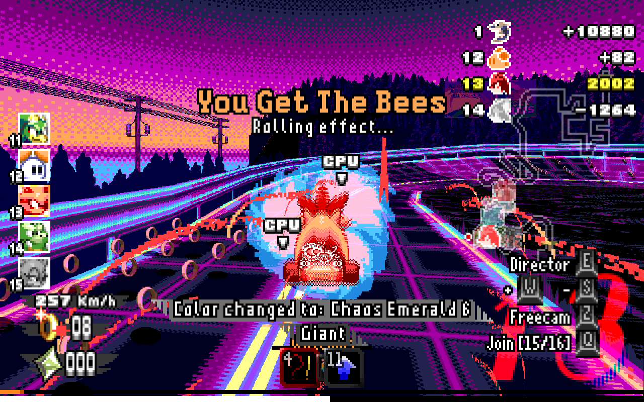 ringracers3071.png