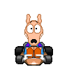 RockoRRNew.gif