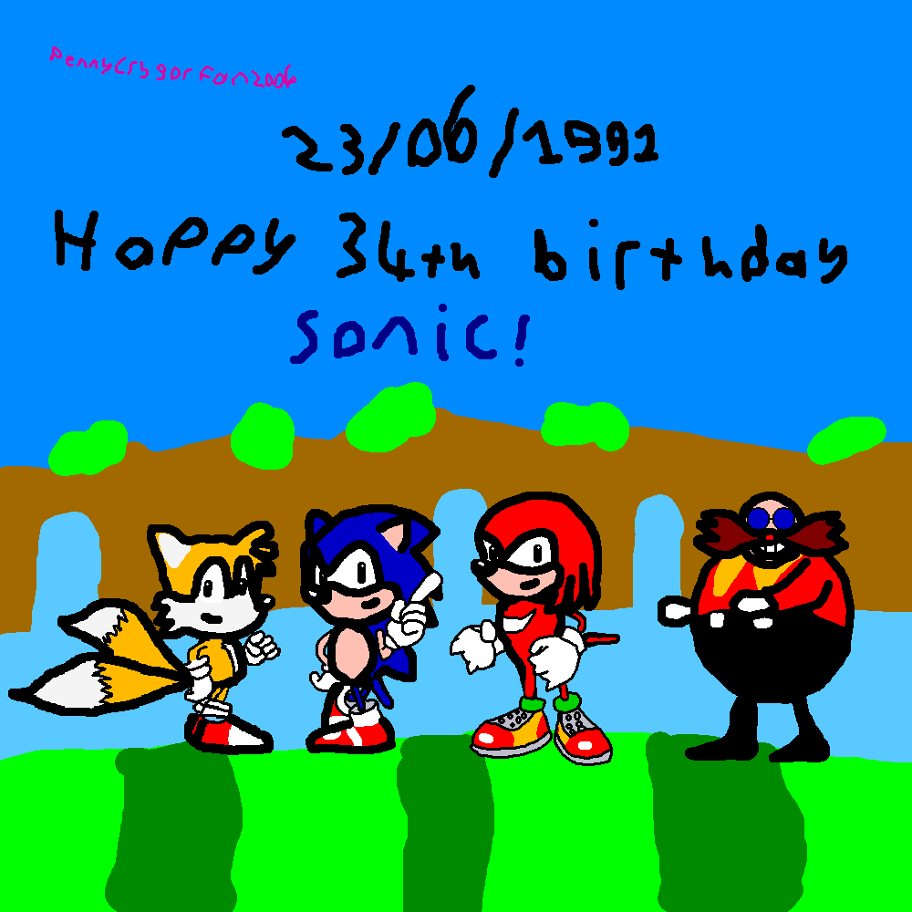 Sonic Birthday Picture.png