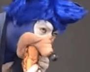 sonic.jpg