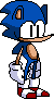 SONIC.png