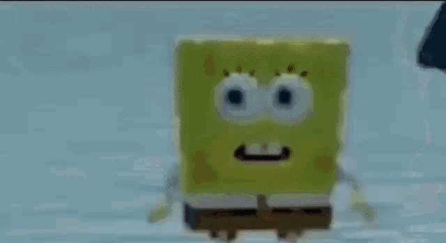 spongebob-sponge.gif