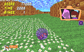srb20000.gif