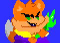 srb20008.png