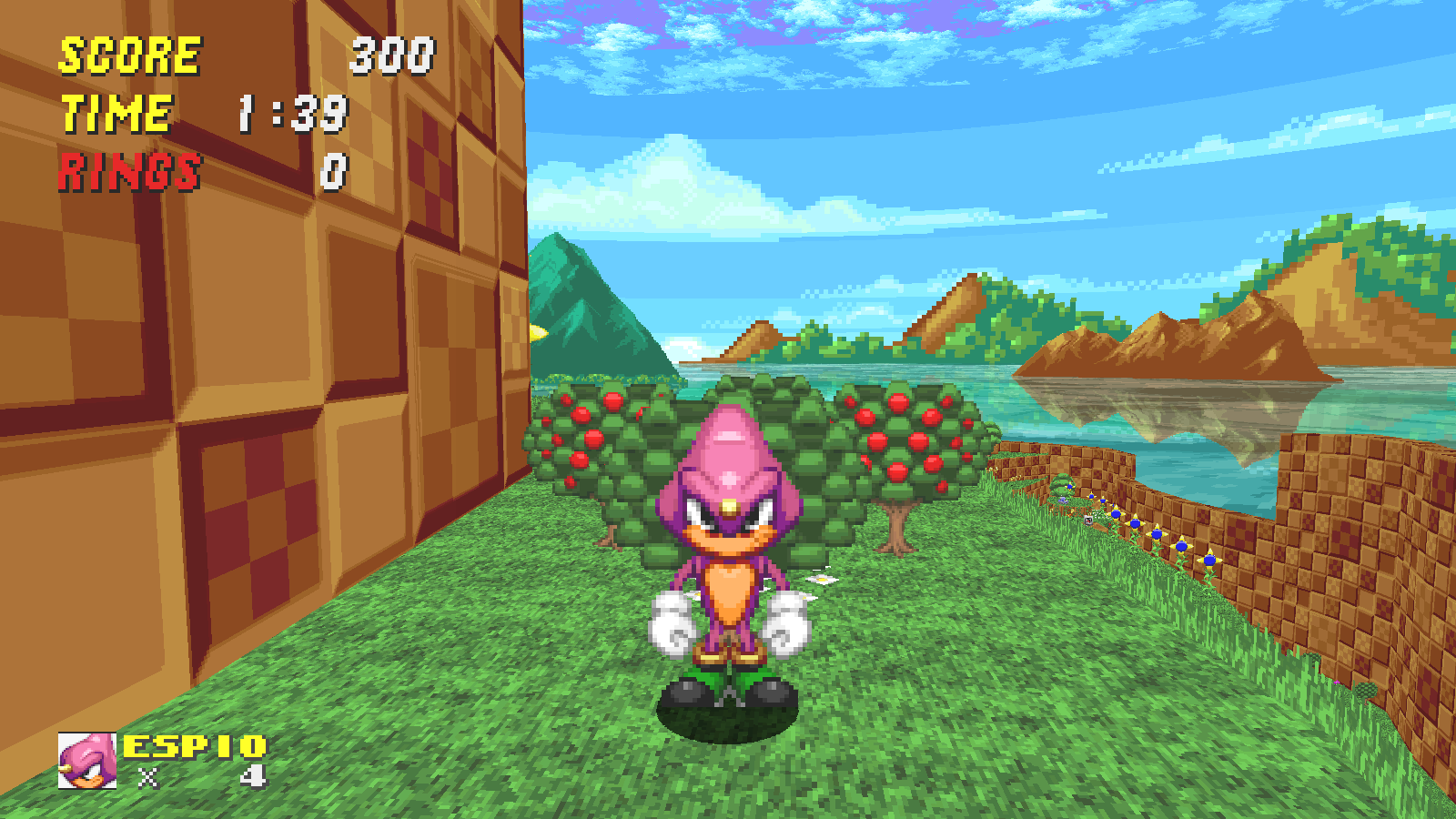 srb20041.png