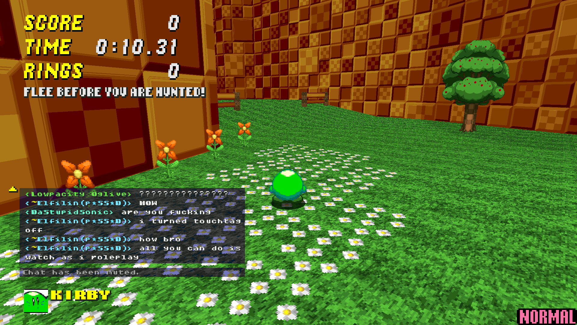 srb20068.png