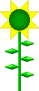 SUNFB0.png