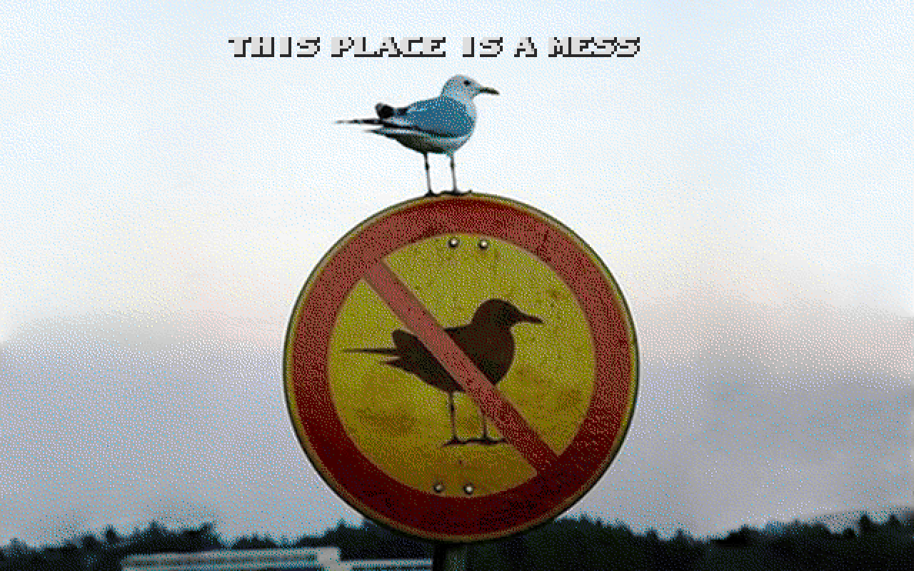 this place is a mess.png