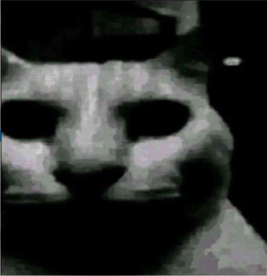 uncannycat.png