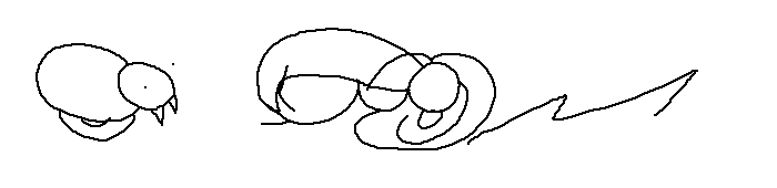 vrom.png