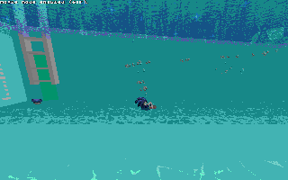 Water.gif