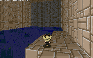 Water Run.gif
