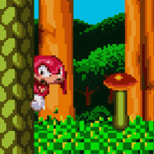knuckles-sonic.gif