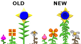 flower-comparison.gif